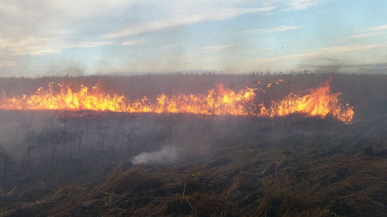 Incendiu în zona Sinoe - Grindul Lupilor. FOTO ISU Dobrogea