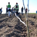 Plantăm Fapte Bune, Peștera. FOTO Adrian Boioglu