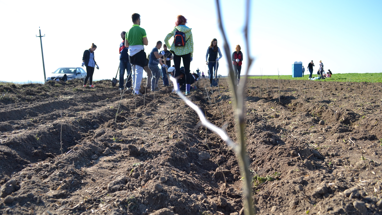Plantăm Fapte Bune, Peștera. FOTO Adrian Boioglu