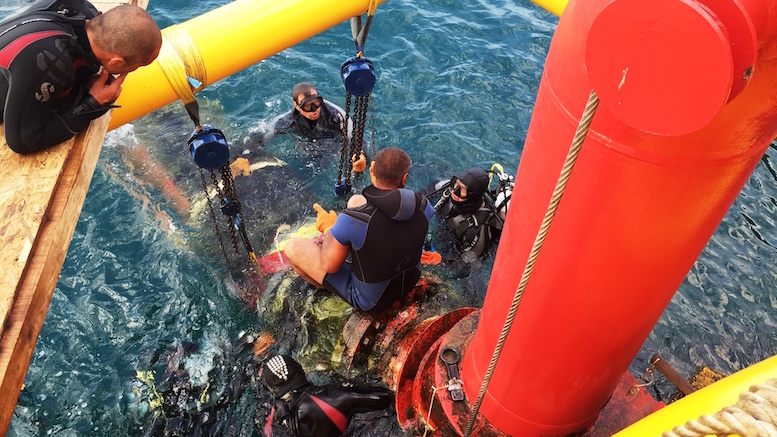 Scafandri Petromidia în acțiune. FOTO KMG International