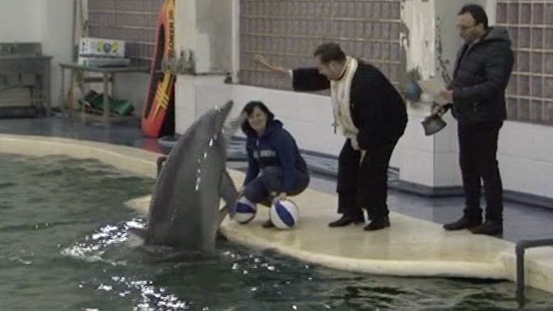 Botezul delfinilor de la Constanța