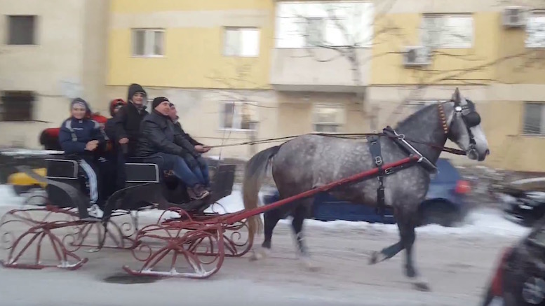 Sanie trasă de cal la Constanța. FOTO captură video