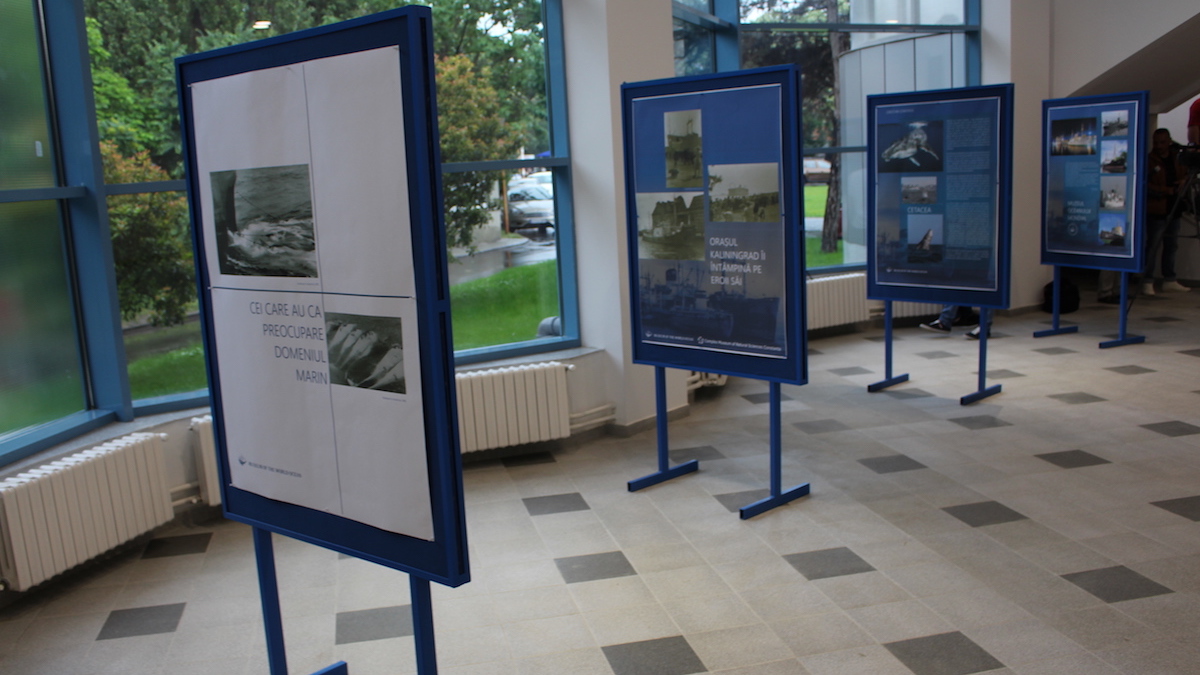 Expoziția "Oameni și balene" la Delfinariu. FOTO Adrian Boioglu