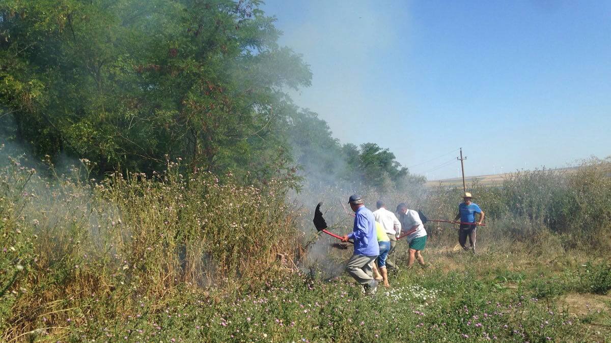 Incendiu de vegetație la Peștera