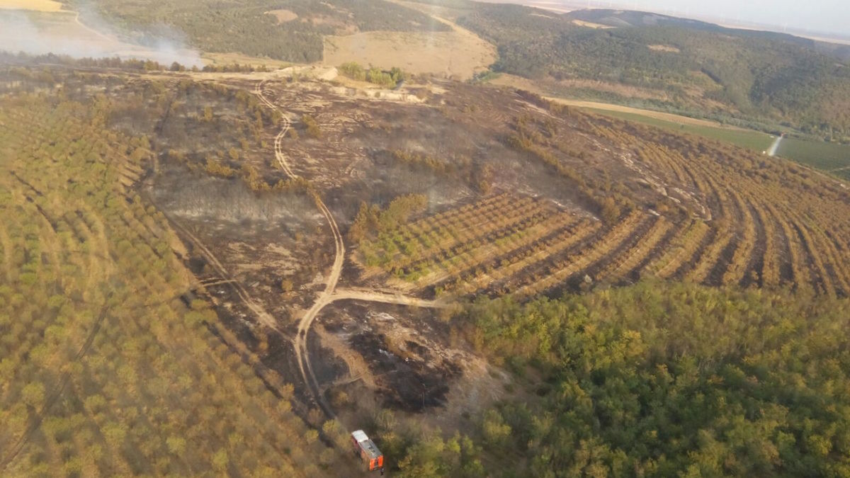 Incendiu de vegetație și pădure la Crucea