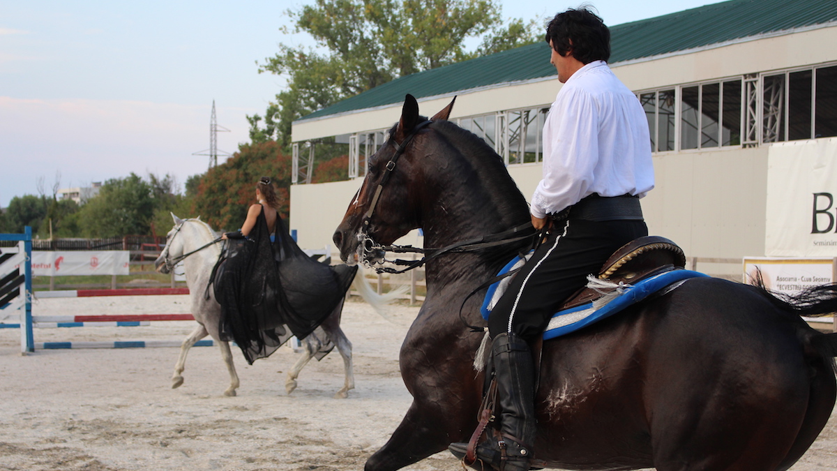 Spectacol la Arena Eqcvestria din cadrul CMSN Constanța. FOTO Adrian Boioglu