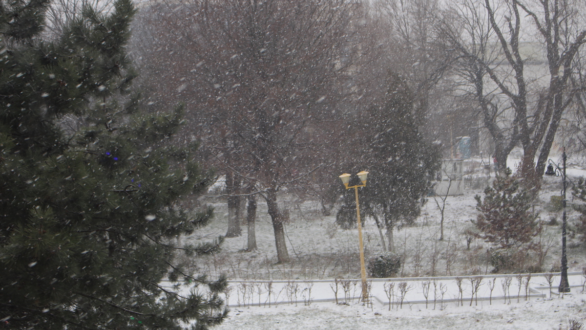 Iarnă în Constanța. FOTO Adrian Boioglu