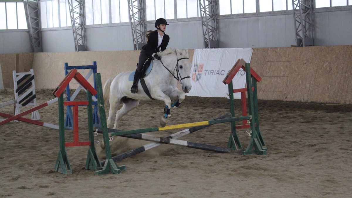 Echitație la Complexul Muzeal de Științe ale Naturii Constanța. FOTO Adrian Boioglu