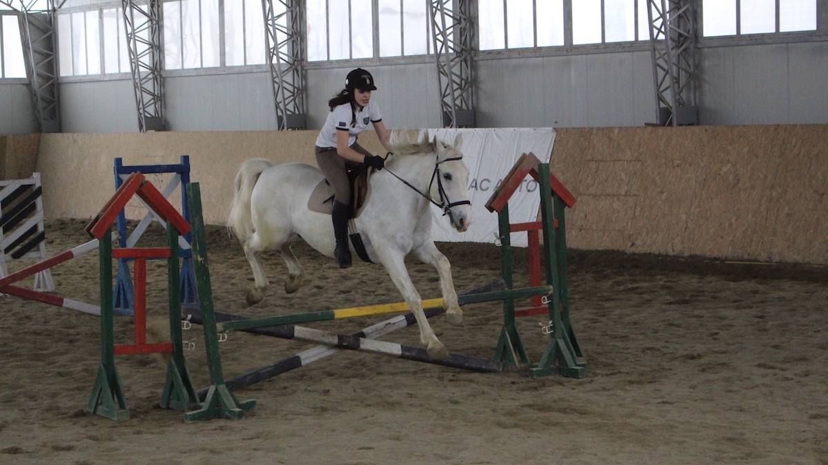 Echitație la Complexul Muzeal de Științe ale Naturii Constanța. FOTO Adrian Boioglu