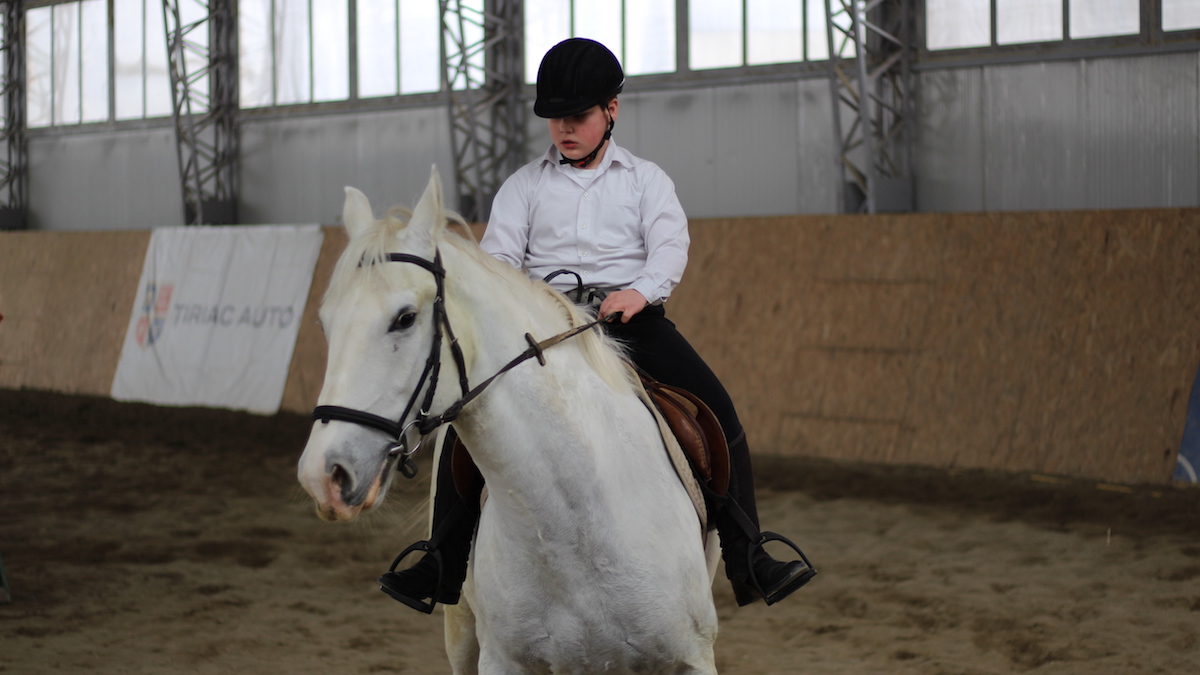 Echitație la Complexul Muzeal de Științe ale Naturii Constanța. FOTO Adrian Boioglu