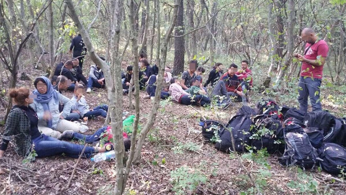 Migranți prinși de Garda de Coastă la Negru Vodă. FOTO Poliția de Frontieră