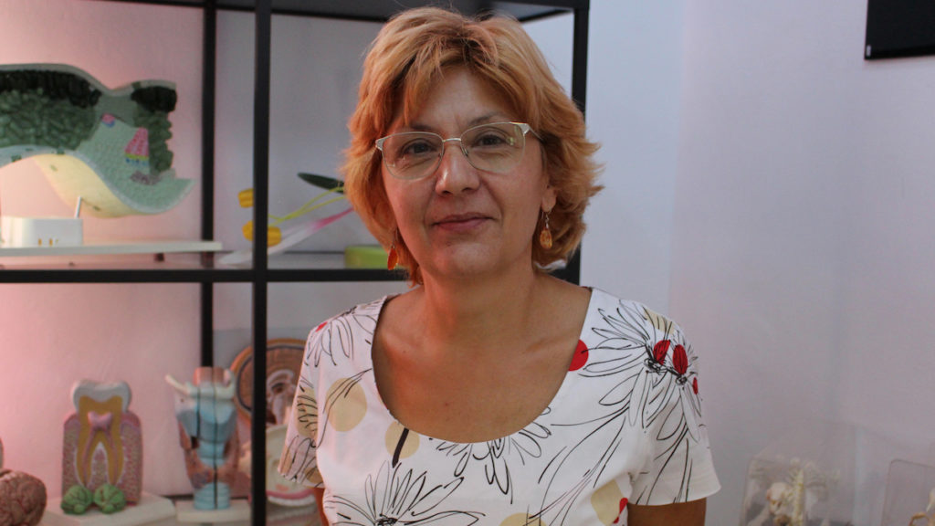 Dana Dovițoiu, profesor de fizică la Liceul Anghel Saligny din Cernavodă. FOTO Adrian Boioglu