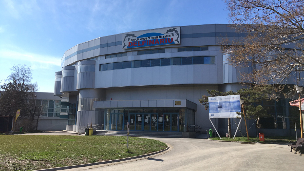 Delfinariul Constanța. FOTO Adrian Boioglu