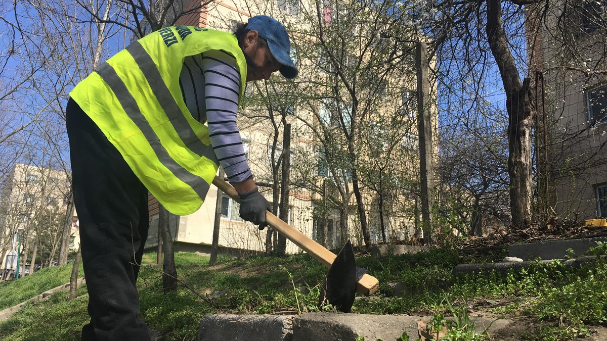 Asistații sociali din Cernavodă lucrează la amenajarea spațiilor verzi. FOTO CTnews