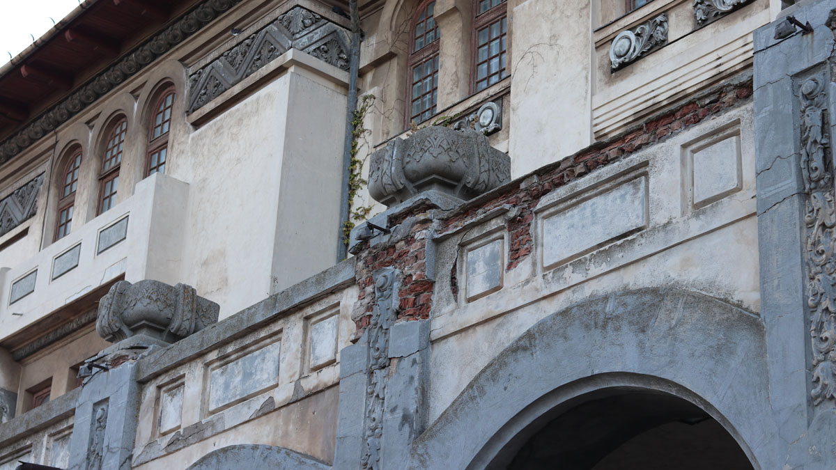 Un pescăruș la Muzeul de Istorie Națională și Arheologie Constanța (MINAC). FOTO Adrian Boioglu