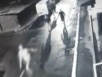 Vandalii surprinși de camerele de supraveghere. FOTO Captură Video