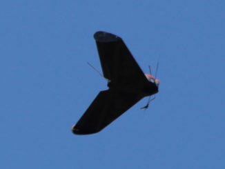 Avion fără pilot lansat la Capu Midia. FOTO ROAF