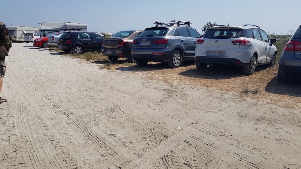 Dezastru ecologic la plaja Vadu. FOTO SEOPMM "oceanic Club"