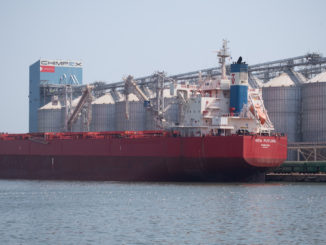 Chimpex, Portul Constanța. FOTO Chimpex