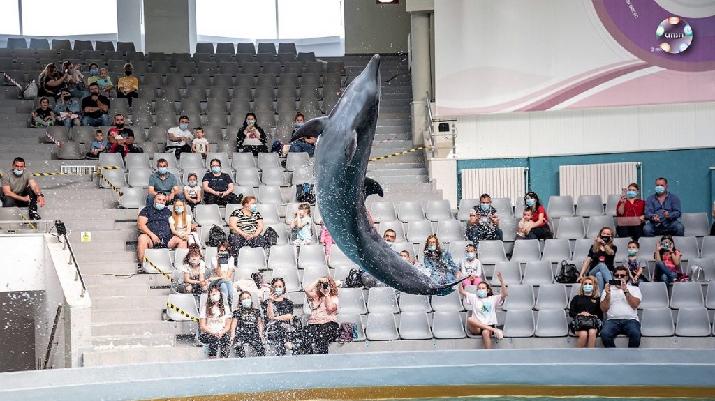 Mii de constănțeni au vizitat, duminică, Delfinariul, Acvariul sau Microrezervația din Constanța FOTO: Delfinariul Constanța