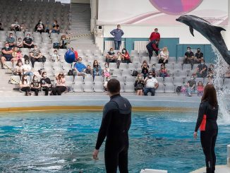 Mii de constănțeni au vizitat, duminică, Delfinariul, Acvariul sau Microrezervația din Constanța FOTO: Delfinariul Constanța