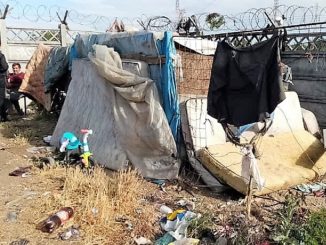 Adăposturi improvizate abuziv pe domeniul public în Inel 1, dezafectate. FOTO Polaris M Holding