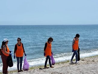 Cantitățile de deșeuri de pe plajele românești au scăzut considerabil. FOTO ONG Mare Nostrum