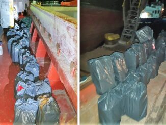 Țigări de contrabandă, descoperite în Portul Midia. FOTO Poliția de Frontieră