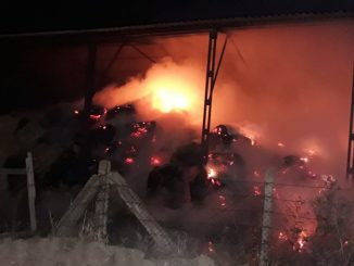 Intervenție a pompierilor militari la Ferma 6 Valu lui Traian. FOTO ISU „Dobrogea”