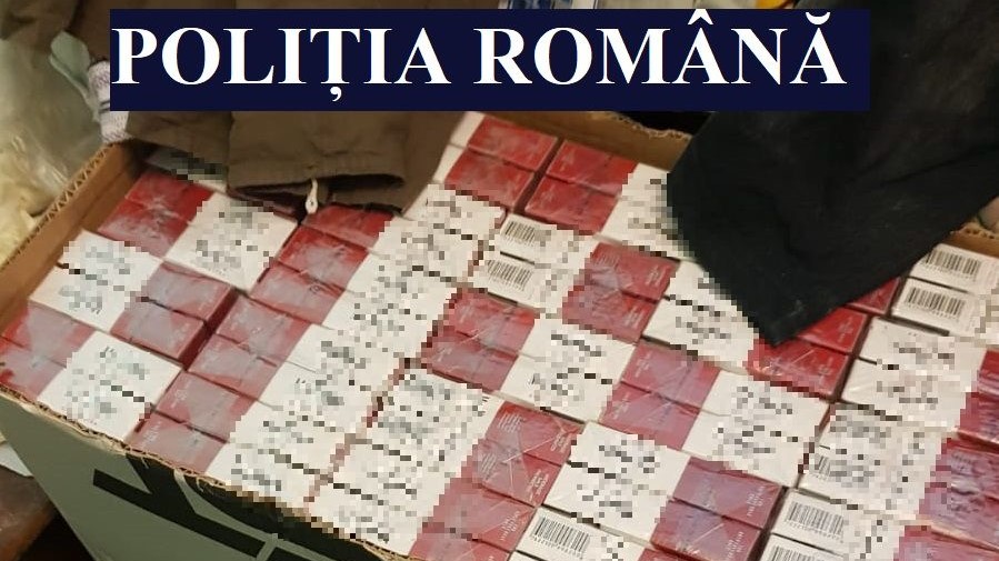 Țigarete de contrabandă, descoperite în Portul Constanța