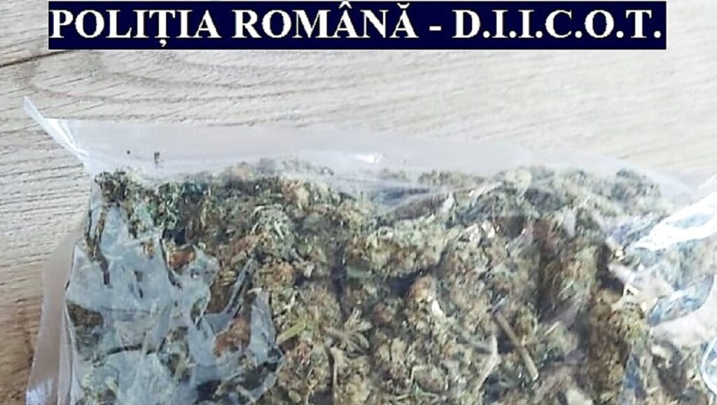 Percheziții la persoane bănuite de trafic de droguri