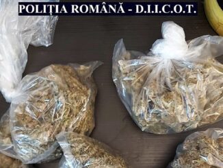 Percheziții la persoane bănuite de trafic de droguri