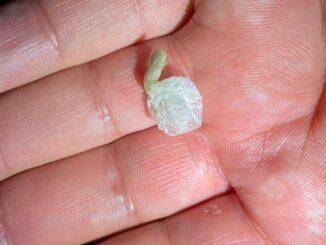 Acțiune în Vama Veche pentru combaterea traficului și consumului de droguri. FOTO Poliția Română