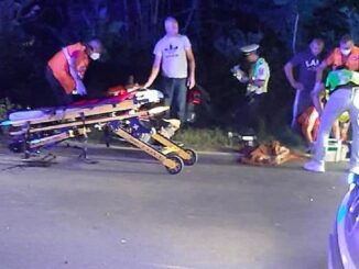 Cinci persoane rănite într-un accident rutier petrecut pe DN3. FOTO Facebook