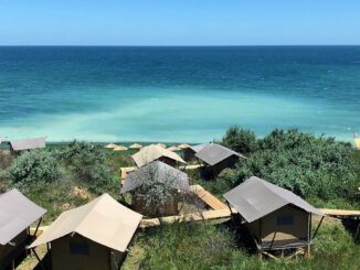 Dezastru pe plaja de la Tuzla: FOTO CJPC