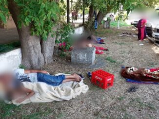 Civilizație cu amenzi usturătoare. FOTO Poliția Locală Constanța