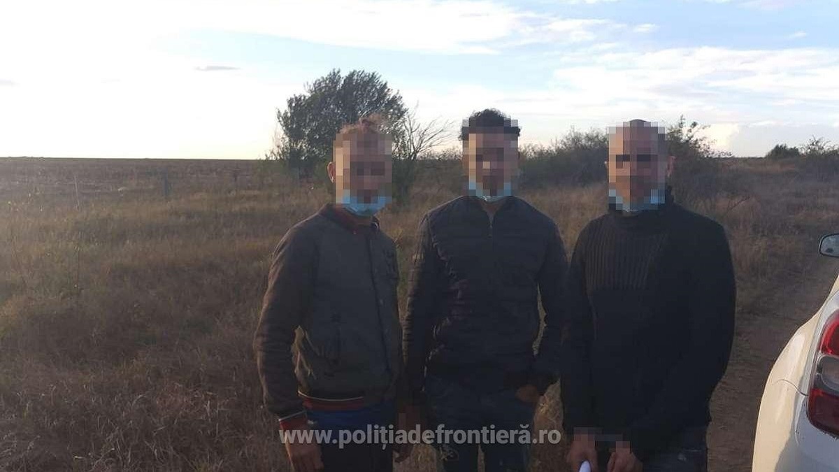 Doi marocani și un algerian, prinși într-un lan de porumb după ce intraseră ilegal în țară