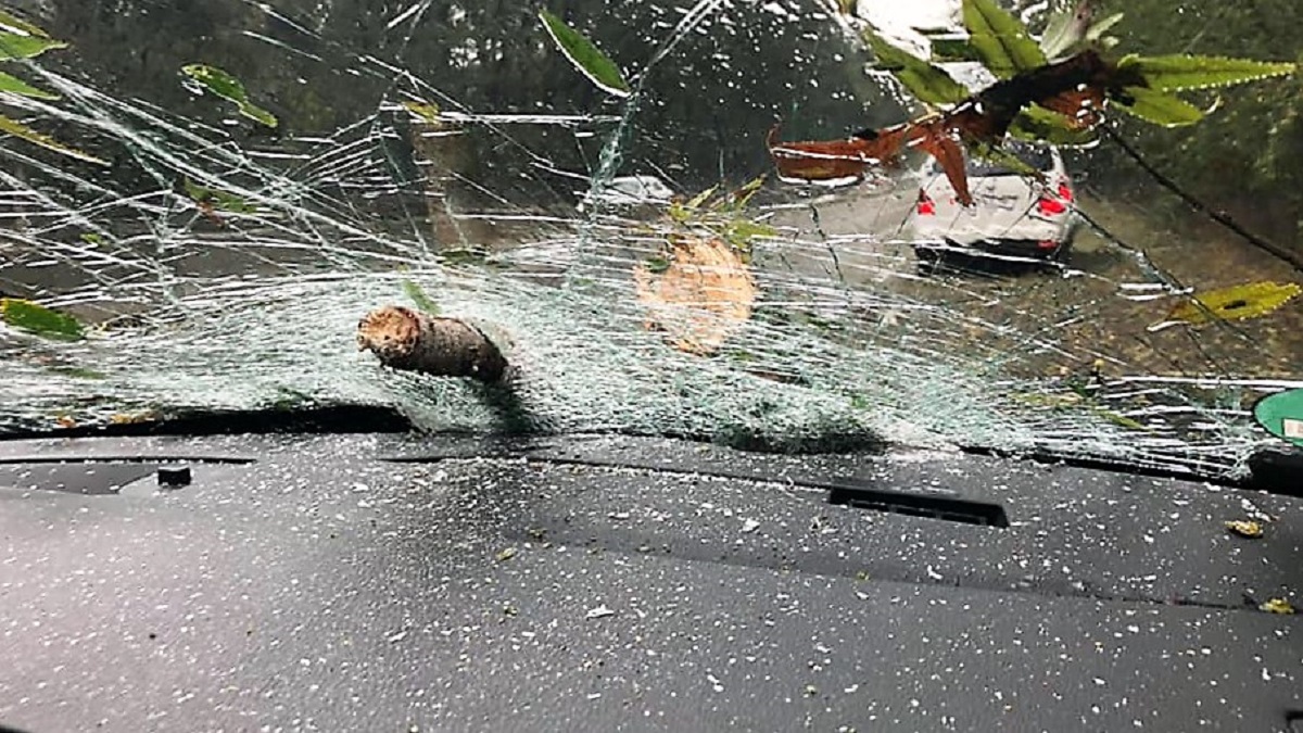 FOTO Incident grav petrecut pe DN 3, la ieșire din Valu: un copac a căzut peste un autoturism aflat în mers