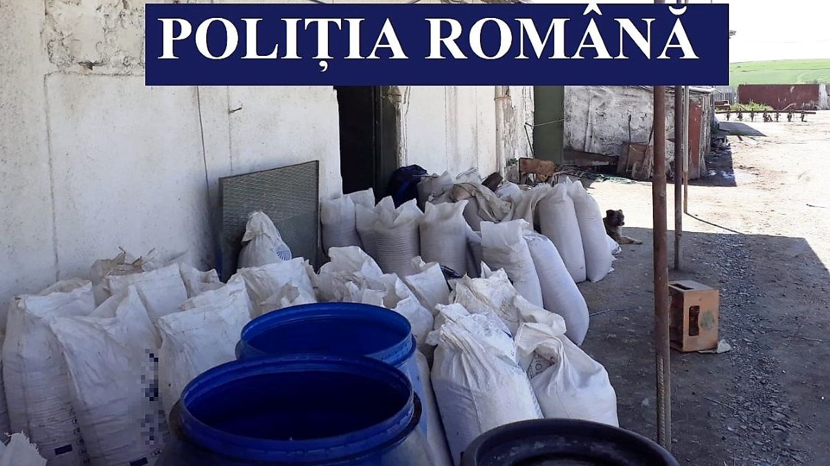 Peste șase tone de cereale și 5,9 tone de azot, descoperite de polițiștii constănțeni într-un dosar de delapidare și tăinuire