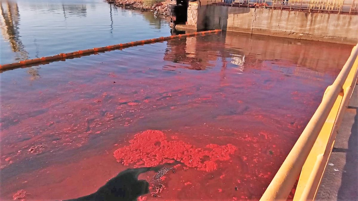 FOTO Șantierul Naval Damen Mangalia, amendat cu 30.000 de lei pentru poluarea docurilor de reparații