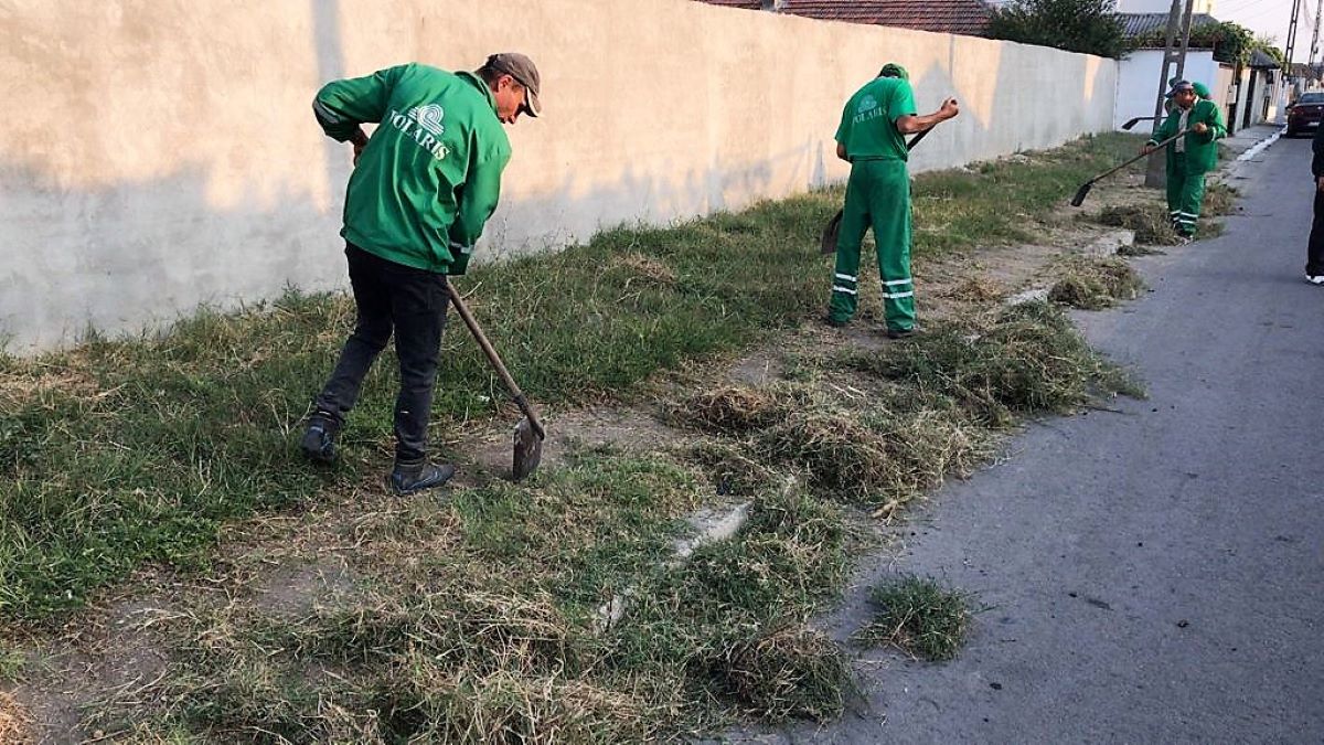 FOTO Polaris va demara un program de eliminare a vegetației parazitare din Constanța
