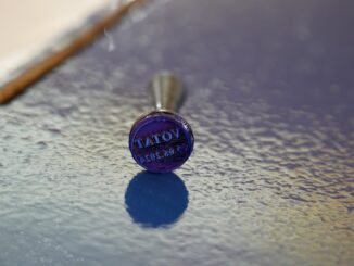 Alegeri în județul Constanța. FOTO Adrian BOIOGLU / CTnews.ro