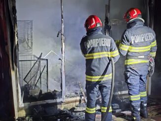Incendiu la un adăpost de animale din Valu lui Traian. FOTO CTnews