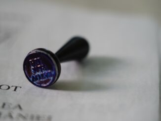 Alegeri Prezidențiale în România. FOTO Adrian Boioglu / CTnews