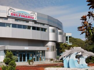 Delfinariul din Constanța