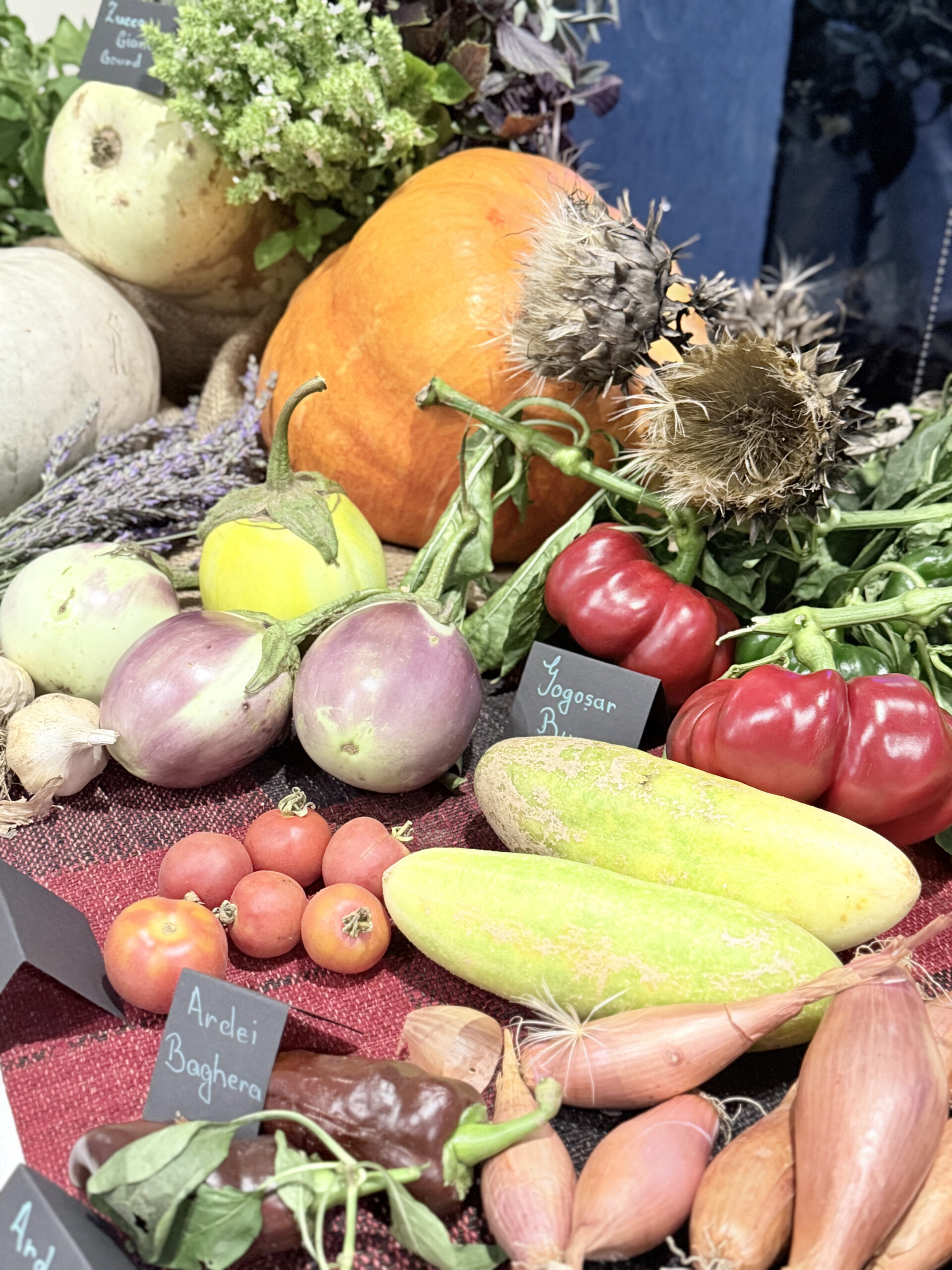 De Ziua Dobrogei, zeci de liceeni constănțeni au participat la un atelier interactiv dedicat educației prin gust, organizat de Explore Dobrogea la Zbor Hub Constanța. FOTO Explore Dobrogea