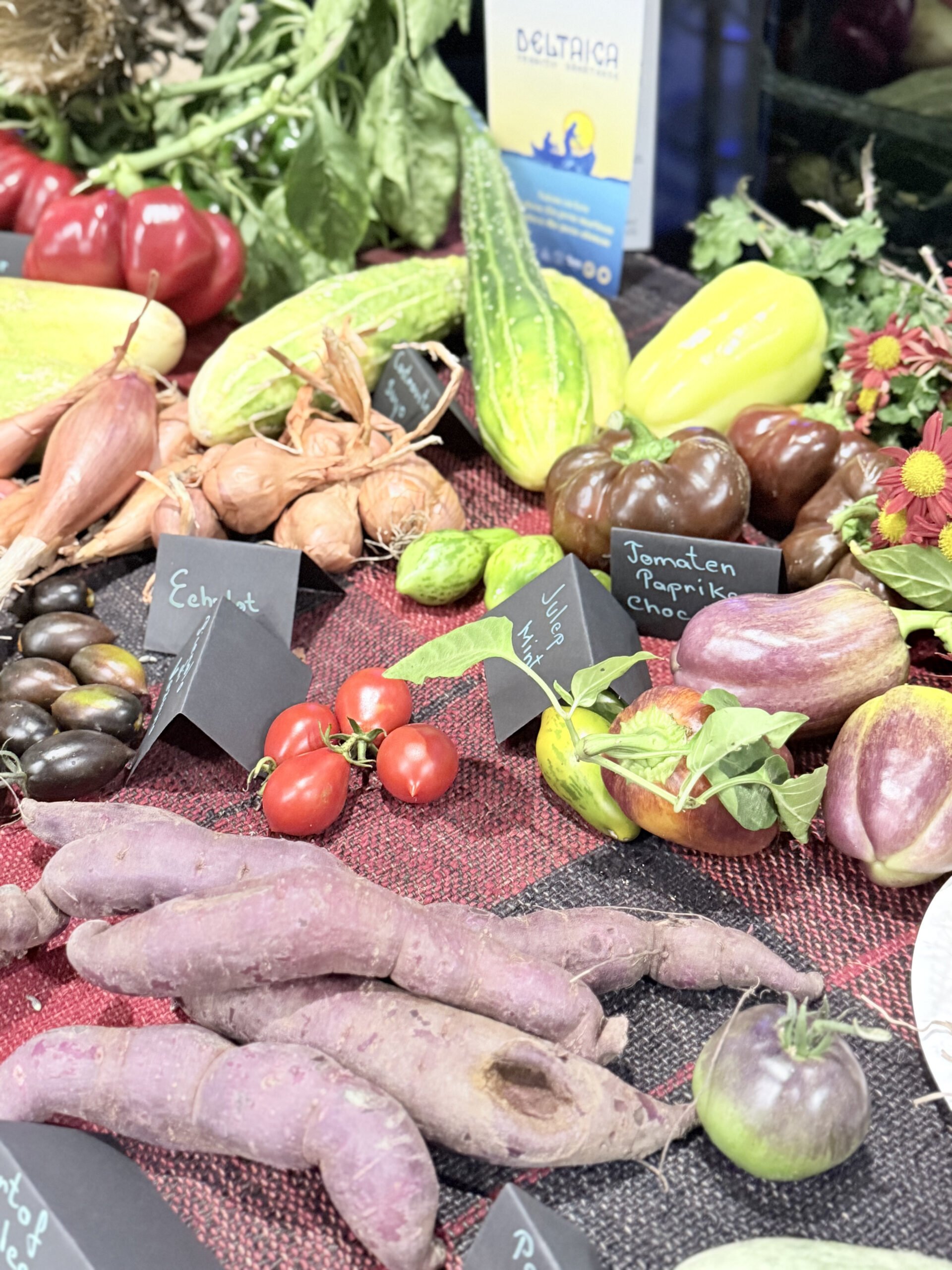 De Ziua Dobrogei, zeci de liceeni constănțeni au participat la un atelier interactiv dedicat educației prin gust, organizat de Explore Dobrogea la Zbor Hub Constanța. FOTO Explore Dobrogea