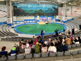 Zeci de copii din mediul rural au parte de experiențe educative inedite, în extrasezon, la Delfinariul din Constanța. FOTO Consiliul Județean Constanța