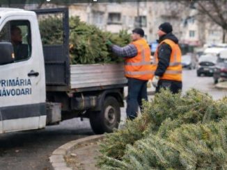 reciclare brazi la Navodari